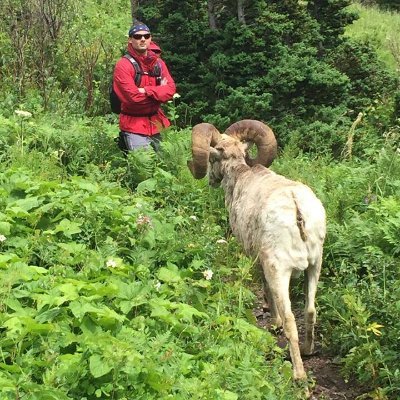 Profile Picture of David Furman (@MrFurmanBHS) on Twitter