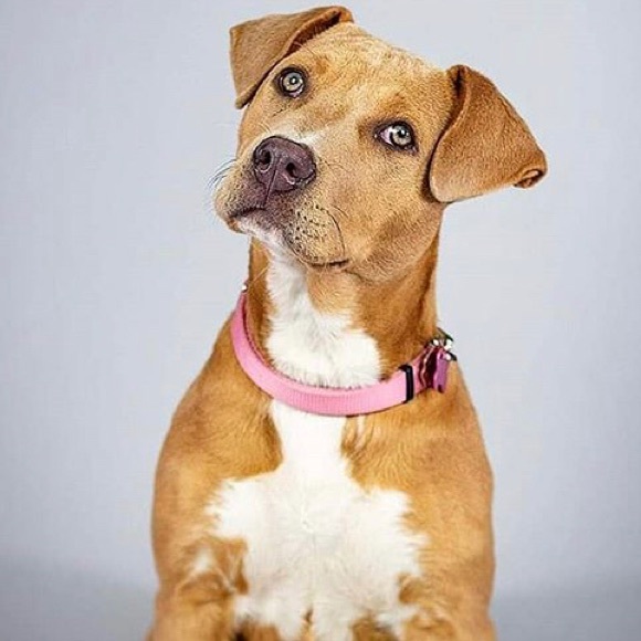 Profile Picture of Jeremy Brock (@jbro20) on Poshmark