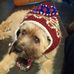 Profile Picture of Terence O'Connor (@terence.oconnor.94) on Facebook