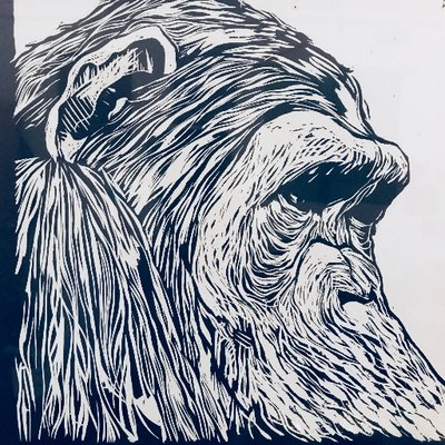 Profile Picture of Ben Kalin (@FactCheckPros) on Twitter