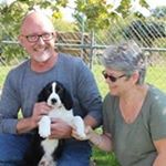 Profile Picture of Stephen Collie (@stephen.collie.7) on Instagram