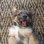 Profile Picture of Rodolfo acosta (@roacostar) on Instagram