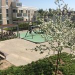 Profile Picture of Anders Poulsen (@anders1777) on Instagram