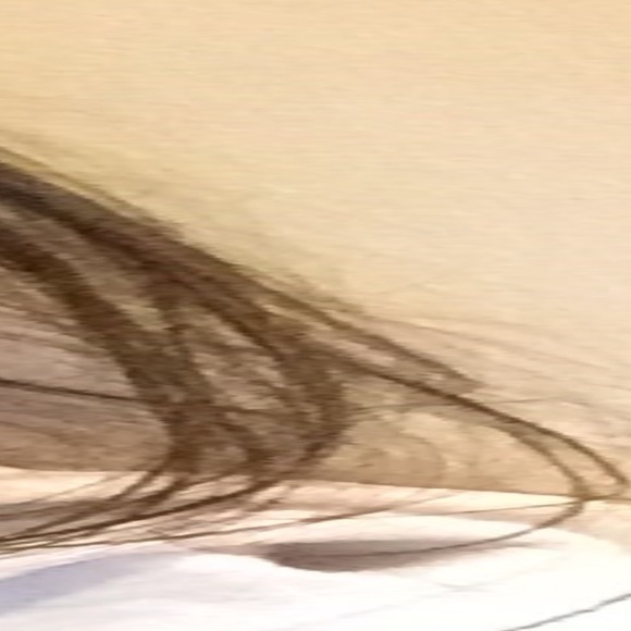 Profile Picture of Danah Singh (@danah0804) on Poshmark