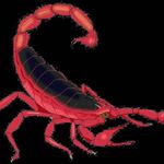 Profile Picture of Harold Savoy (@harold.savoy.733) on Instagram