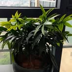 朱浚铭 - Facebook Profile Picture of 朱浚铭 (@朱浚铭) on Facebook