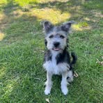 Profile Picture of Jacqueline Patterson (@jacqueline.patterson.14268) on Facebook