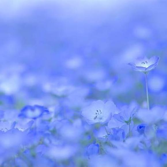 Rita Nguyen - Poshmark Profile Picture of Rita Nguyen (@alenannnguyen) on Poshmark