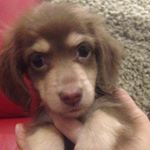 Profile Picture of Zhiwei Huang (@ike1986m) on Instagram