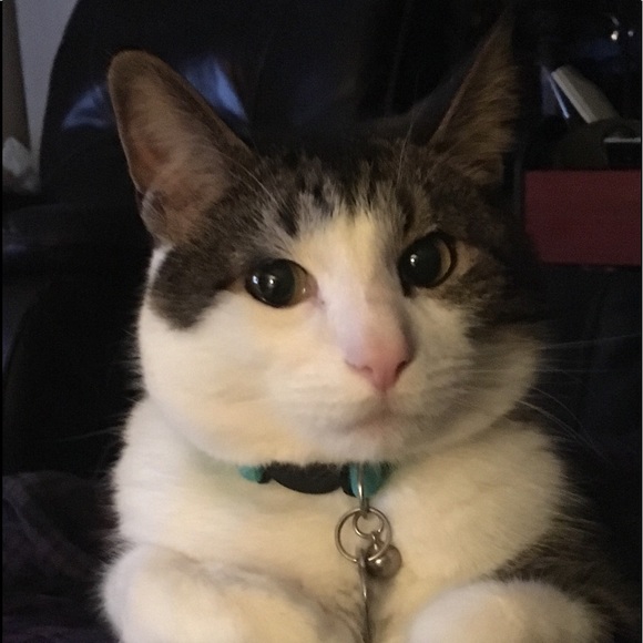 Lori Aprouse - Poshmark Profile Picture of Lori Aprouse (@lsprouse01) on Poshmark