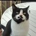 Profile Picture of Kyle Rawson (@kyle.rawson.16) on Facebook