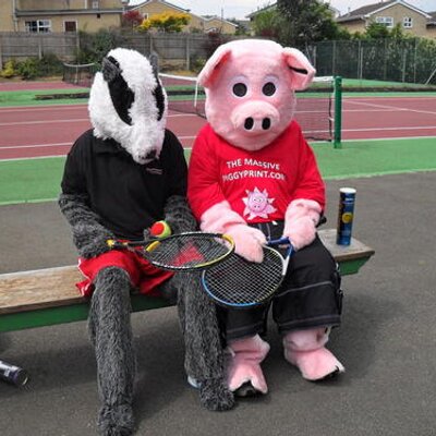 Profile Picture of Bob The Badger (@piggyPrintBob) on Twitter