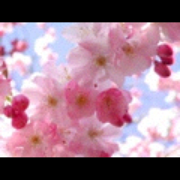 Profile Picture of Nurye Nurye (@nurye) on Poshmark