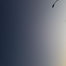 Profile Picture of Adam Ayon (@aayon401) on Pinterest