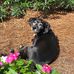 Profile Picture of Cindy Borders (@cindy.borders) on Facebook