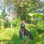 Profile Picture of Alan Kiproo (@Alan-Kiproo) on Facebook