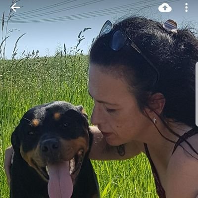 Profile Picture of Sylvia Seibert (@SylviaSeibert) on Twitter
