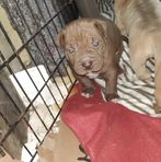 John Foutch - Facebook Profile Picture of John Foutch (@john.foutch.921) on Facebook