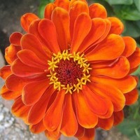 Profile Picture of Vivian Simpson (@vivian-simpson-1) on Quora