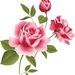 Profile Picture of Brandy Powers (@tudorrose1450) on Pinterest