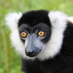 Profile Picture of Richard Morgan (@richard morgan 2) on Flickr