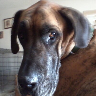 Profile Picture of Pam Hunt (@pamhunt1971) on Twitter