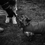 Profile Picture of Doug Davis (@davisstewartphotography) on Instagram