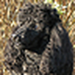 Profile Picture of Paulette Servatius (@dig2no) on Flickr