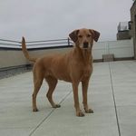 Profile Picture of Brian Pelowski (@bp__) on Instagram