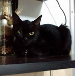 Profile Picture of ana lucia zapata (@analuciazapata) on Flickr