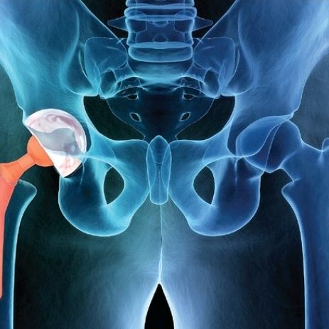 Profile Picture of Julio Bracho (@@drbone2020) on Tiktok