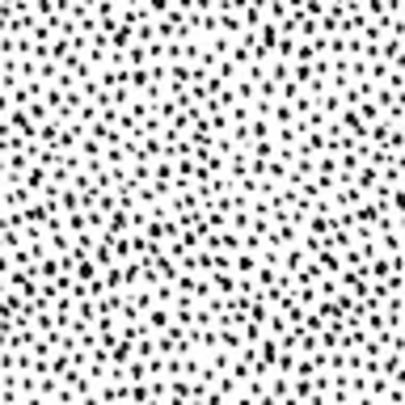 Profile Picture of Meg Anderson (@andersonmeg79) on Poshmark