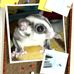 Profile Picture of Hing Eric (@hing.eric.14) on Facebook
