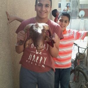 Profile Picture of Abdullah Radwan (@AbdoKing5366841) on Twitter