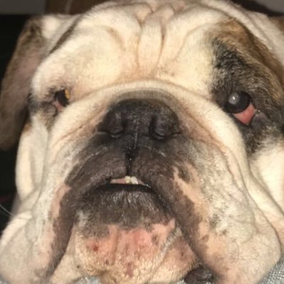 Profile Picture of Jacob Redden (@JacobRedden15) on Twitter