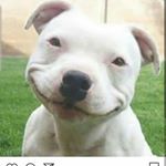 Profile Picture of joel tresslar (@jtresslar_spamssss) on Instagram