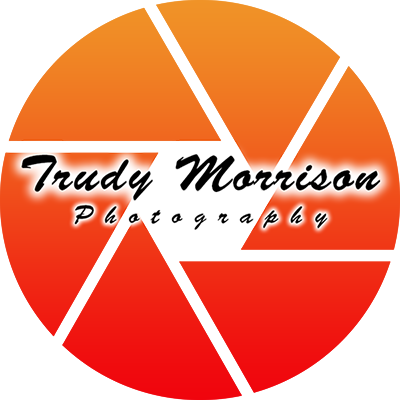 Profile Picture of Trudy Morrison (@TrudyMo85628791) on Twitter