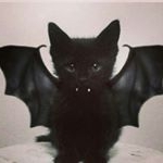 Profile Picture of Janessa Stuart (@princess_stuart2003) on Instagram