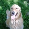 Profile Picture of Timothy Van Dyke (@aetimvandyke) on Pinterest