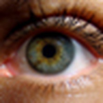 Profile Picture of Luis Riccardo Pedroso (@riccardo pedroso) on Flickr