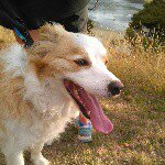 Profile Picture of Brian (@bdangerfieldnz) on Instagram