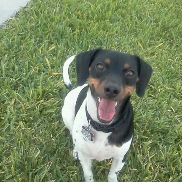 Profile Picture of Andrea Tagliaferri (@andreataglia) on Poshmark