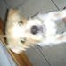 Profile Picture of Brian Novak (@brian.novak.94801) on Facebook