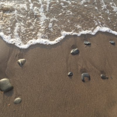 Daisy Stuart-Gunter - Twitter Profile Picture of Daisy Stuart-Gunter (@StuartGunter) on Twitter