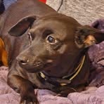 Profile Picture of Bryan Rebel (@bryan.rebel.63236) on Facebook