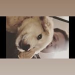 Profile Picture of Sean Pavich (@pavichsean) on Instagram