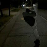 Profile Picture of Benjamín valenzuela (@benjaminvalenzuela83) on Instagram