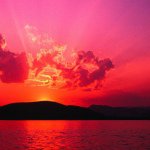 Profile Picture of David Rizotti (@daverizo) on Instagram