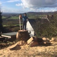 Profile Picture of Mikey Durman (@mikey018) on Pinterest