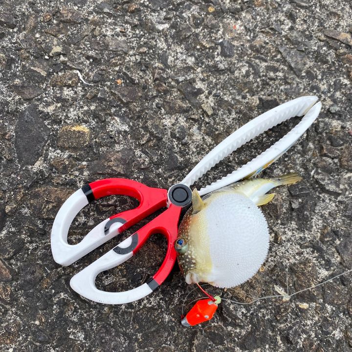 Profile Picture of andrewv (@andrwale06) on Tiktok